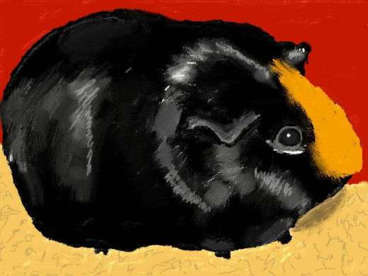 New Art Academy - Grunio