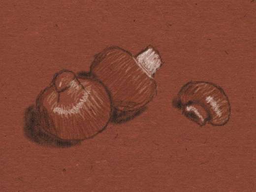 New Art Academy - Grzyby